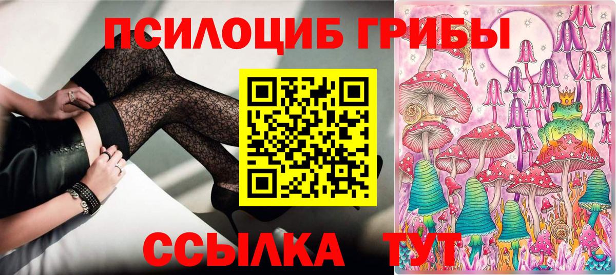 Казань  Галлюциногенные грибы Cubensis  Вход с VPN 
